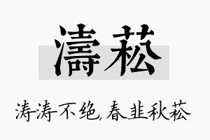 涛菘名字的寓意及含义