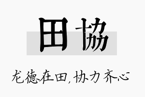 田协名字的寓意及含义