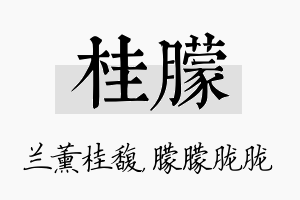 桂朦名字的寓意及含义