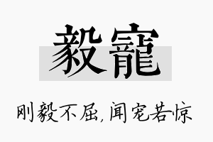 毅宠名字的寓意及含义