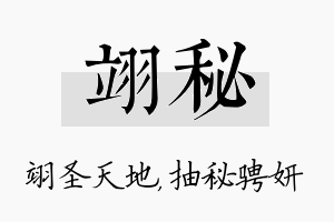 翊秘名字的寓意及含义