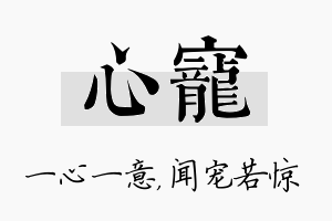 心宠名字的寓意及含义