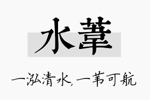 水苇名字的寓意及含义