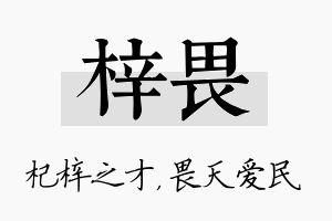 梓畏名字的寓意及含义