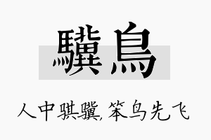 骥鸟名字的寓意及含义