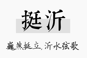 挺沂名字的寓意及含义