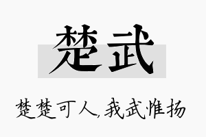 楚武名字的寓意及含义