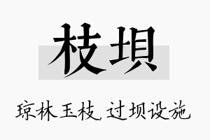 枝坝名字的寓意及含义