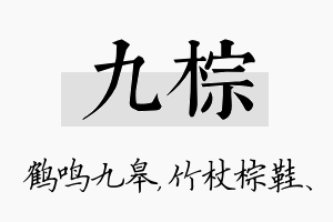 九棕名字的寓意及含义