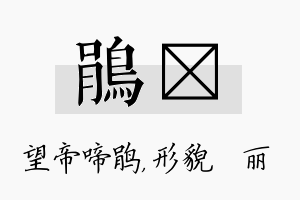 鹃昳名字的寓意及含义