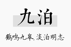 九泊名字的寓意及含义