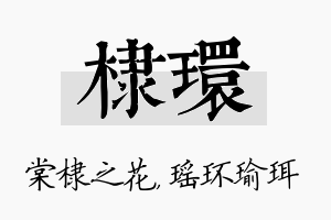 棣环名字的寓意及含义