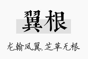 翼根名字的寓意及含义