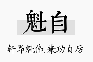 魁自名字的寓意及含义