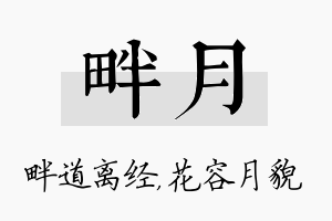 畔月名字的寓意及含义