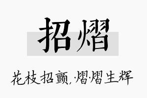 招熠名字的寓意及含义