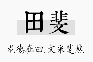 田斐名字的寓意及含义