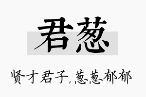 君葱名字的寓意及含义