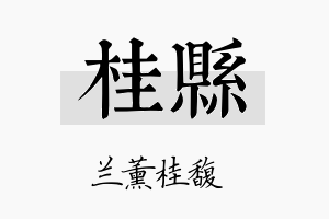 桂县名字的寓意及含义