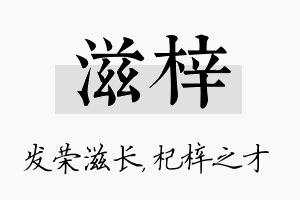 滋梓名字的寓意及含义