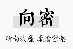 向密名字的寓意及含义