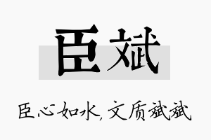 臣斌名字的寓意及含义