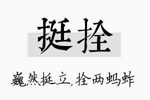 挺拴名字的寓意及含义