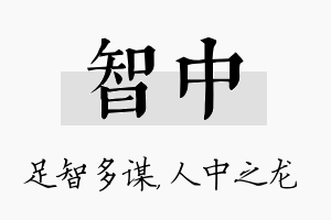 智中名字的寓意及含义