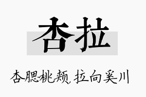 杏拉名字的寓意及含义