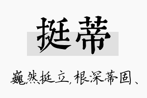 挺蒂名字的寓意及含义