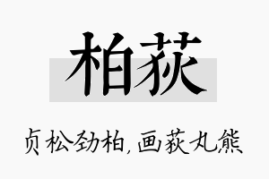 柏荻名字的寓意及含义