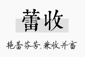 蕾收名字的寓意及含义