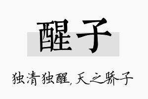 醒子名字的寓意及含义