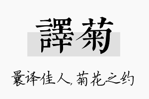 译菊名字的寓意及含义