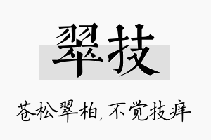 翠技名字的寓意及含义