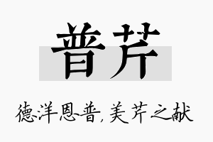 普芹名字的寓意及含义