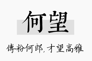 何望名字的寓意及含义