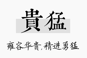 贵猛名字的寓意及含义