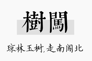 树闯名字的寓意及含义