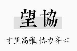 望协名字的寓意及含义