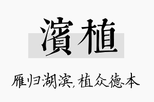 滨植名字的寓意及含义