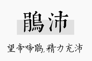 鹃沛名字的寓意及含义