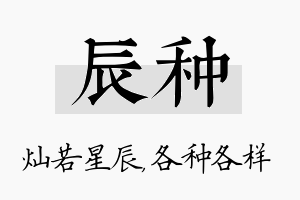 辰种名字的寓意及含义