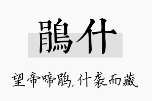 鹃什名字的寓意及含义