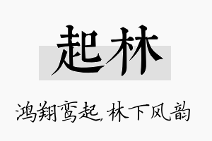 起林名字的寓意及含义