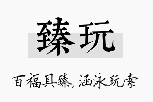 臻玩名字的寓意及含义