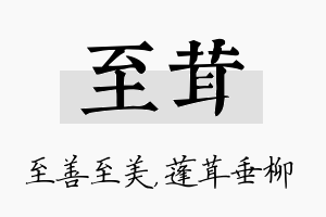 至茸名字的寓意及含义