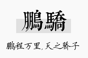 鹏骄名字的寓意及含义