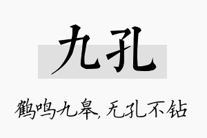 九孔名字的寓意及含义