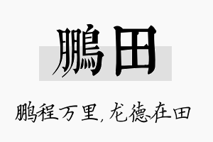 鹏田名字的寓意及含义